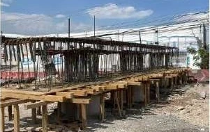 Distribuidor Vial Paseo 5 de Febrero · registro 19